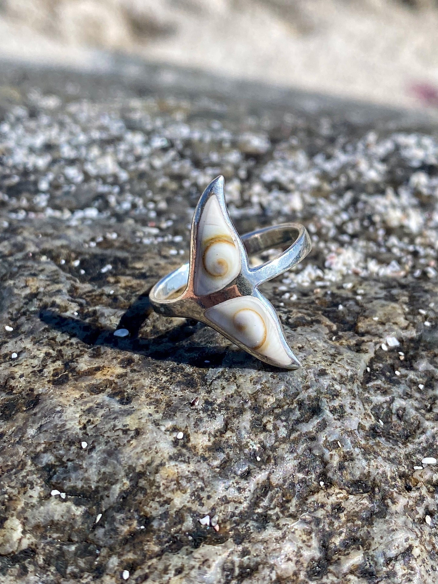 Anillo cola de ballena con Conchita ojo de shiva