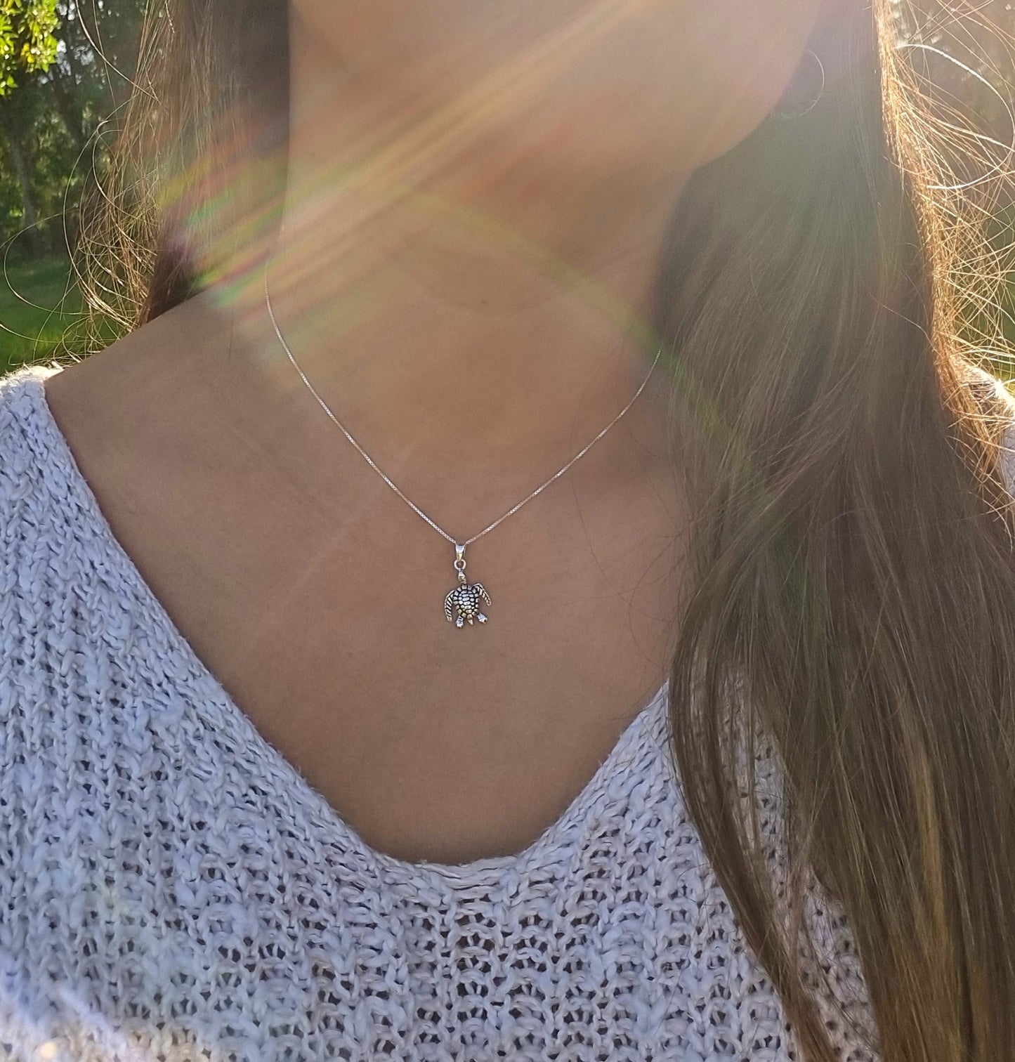Collar tortuga