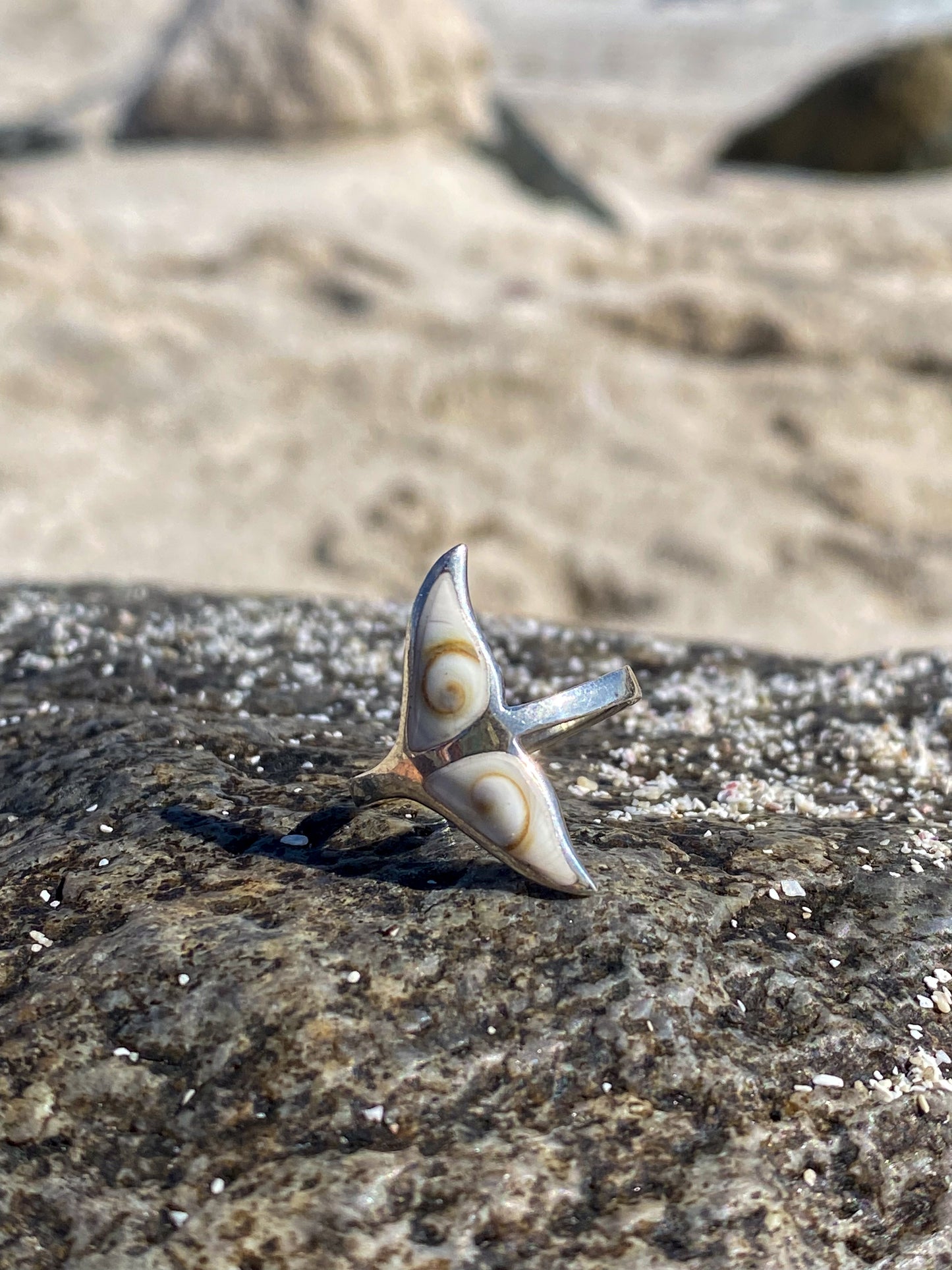 Anillo cola de ballena con Conchita ojo de shiva