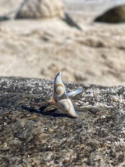 Anillo cola de ballena con Conchita ojo de shiva