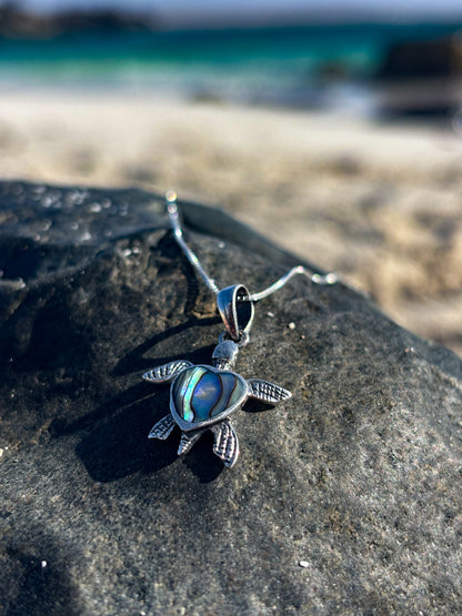 Collar de tortuga con Abalón