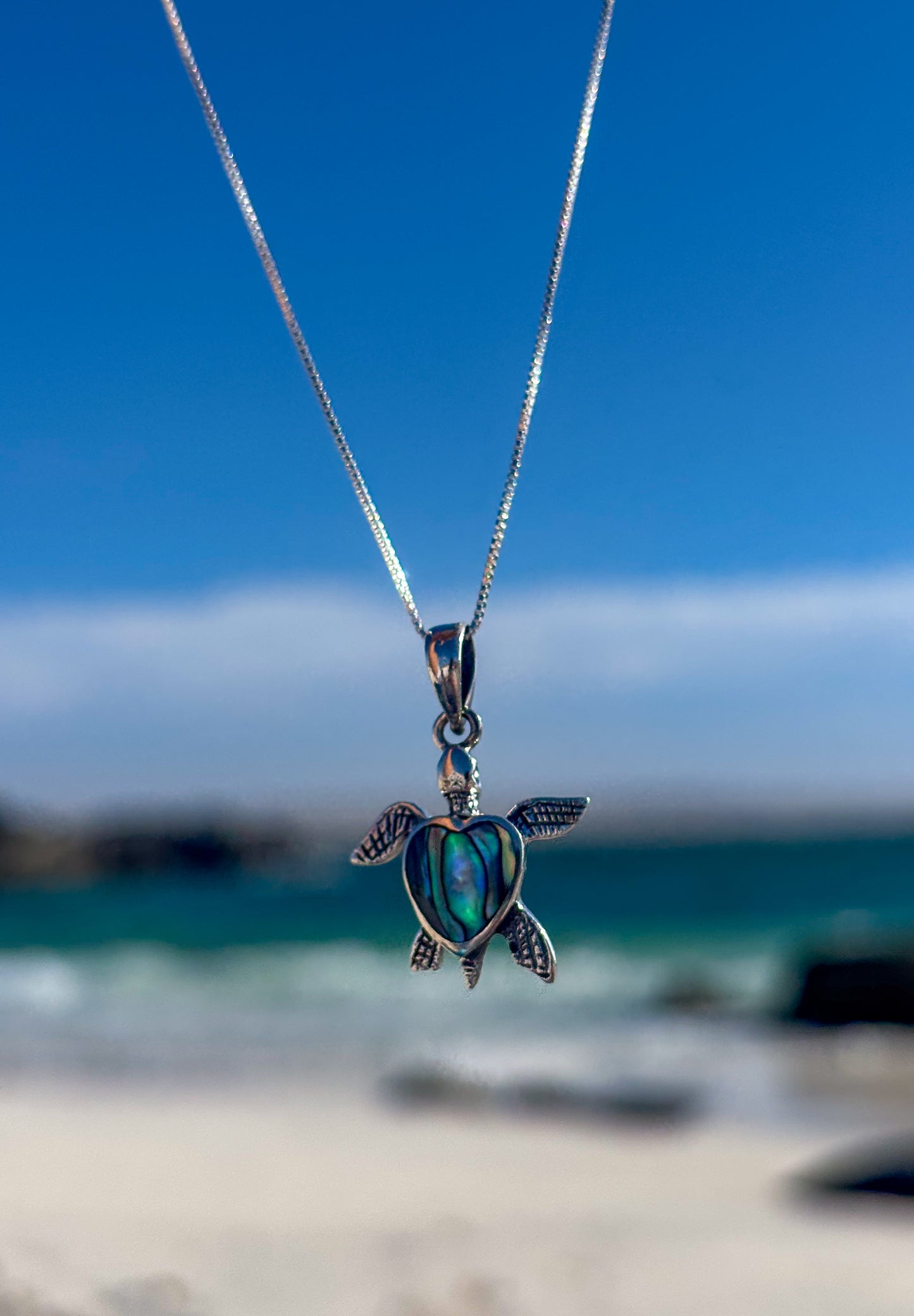 Collar de tortuga con Abalón