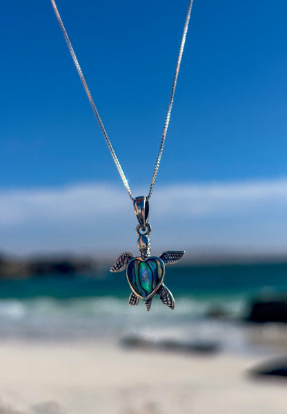 Collar de tortuga con Abalón