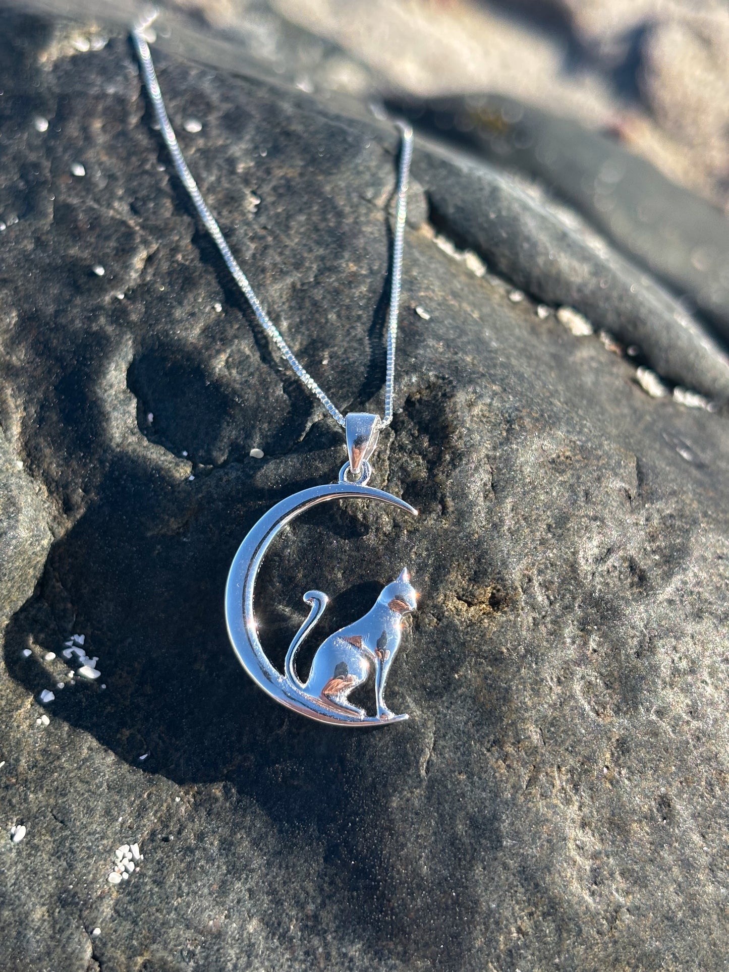 Collar gatito en la luna