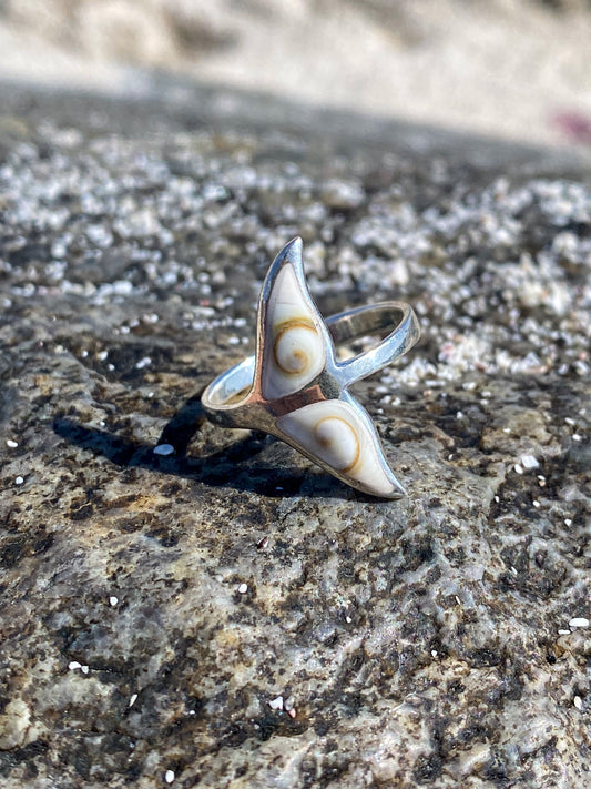 Anillo cola de ballena con Conchita ojo de shiva