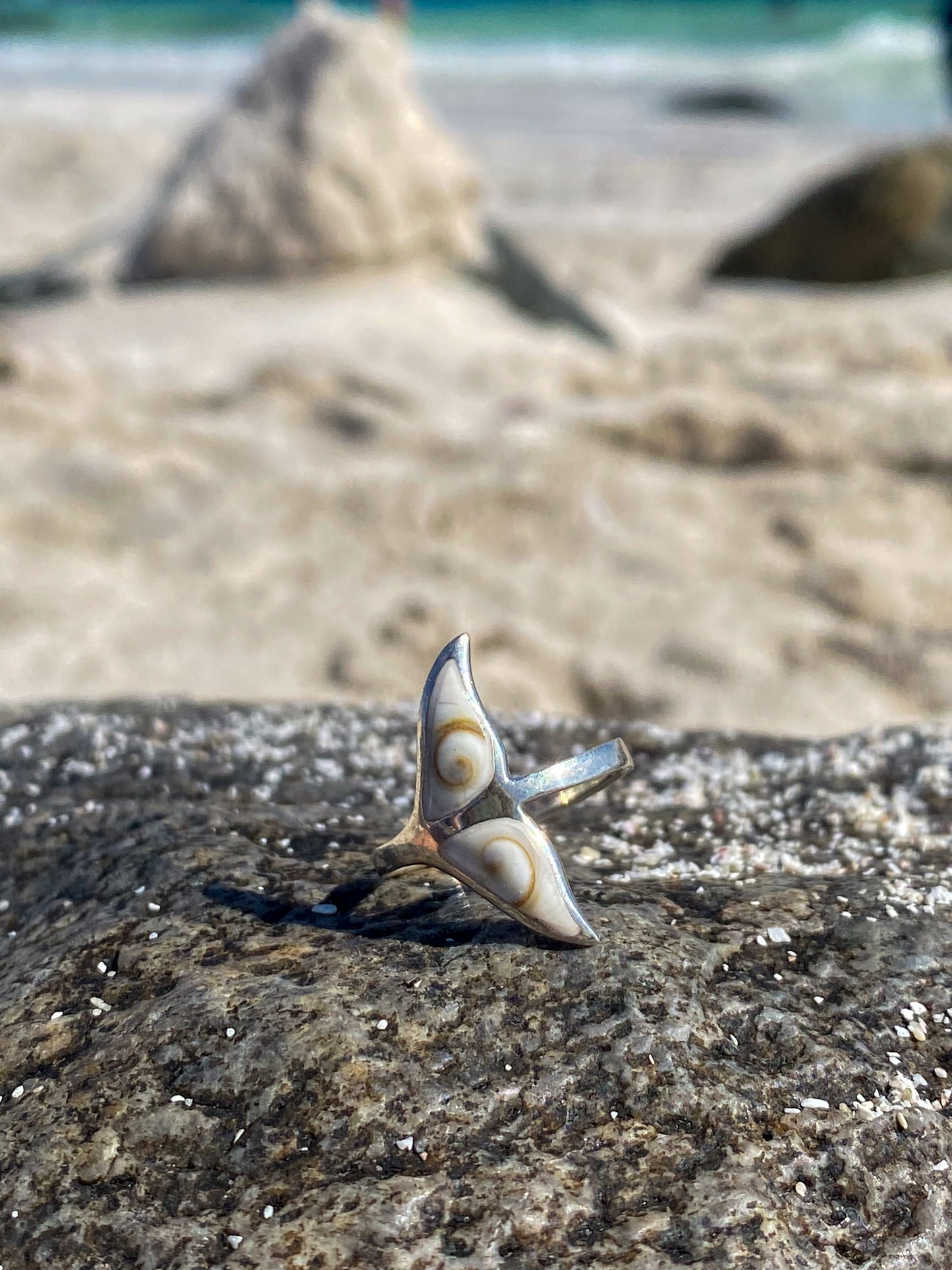 Anillo cola de ballena con Conchita ojo de shiva