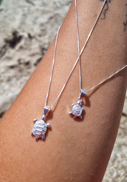 Tortuga circones