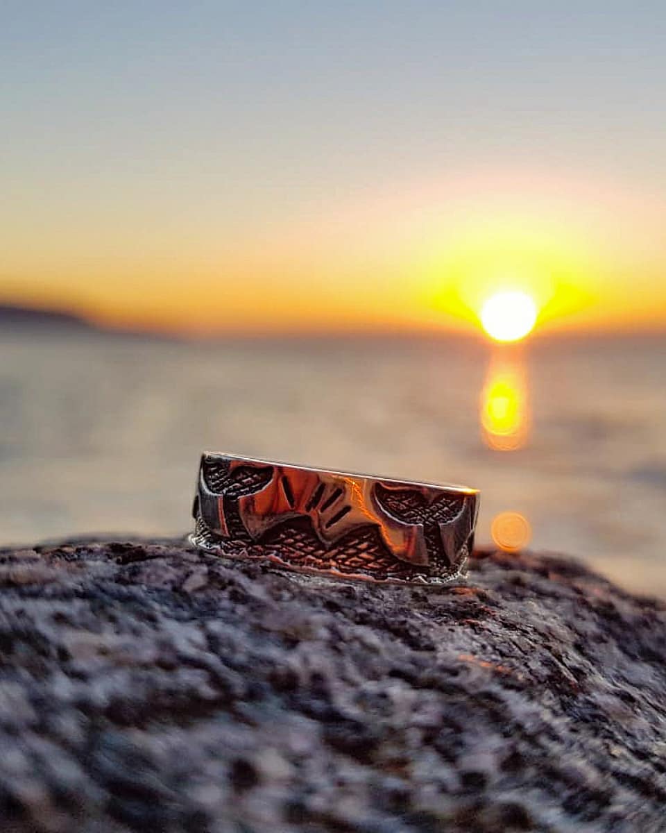 Anillo colitas sumergiendose