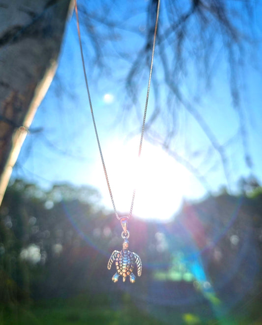 Collar tortuga